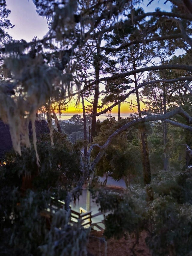 1148 Patterson Ln, PACIFIC GROVE