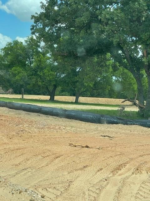 Photo of Listing #20229933