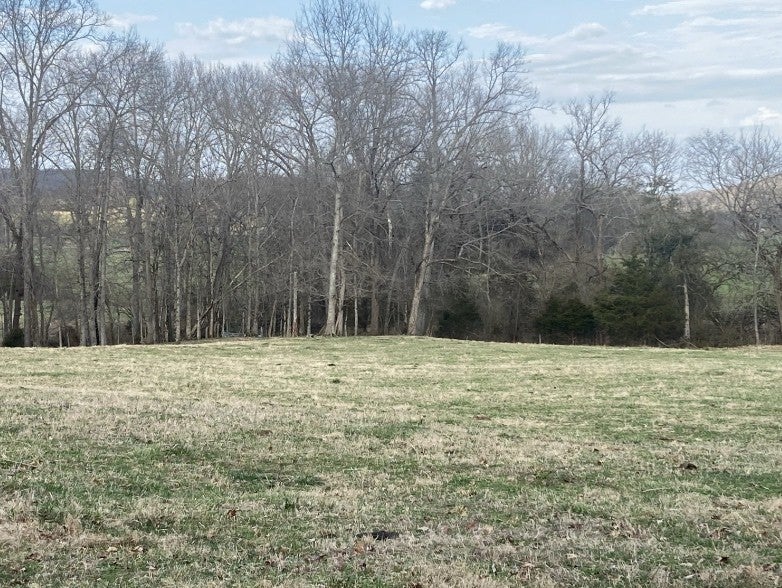 Photo of Listing #2516475