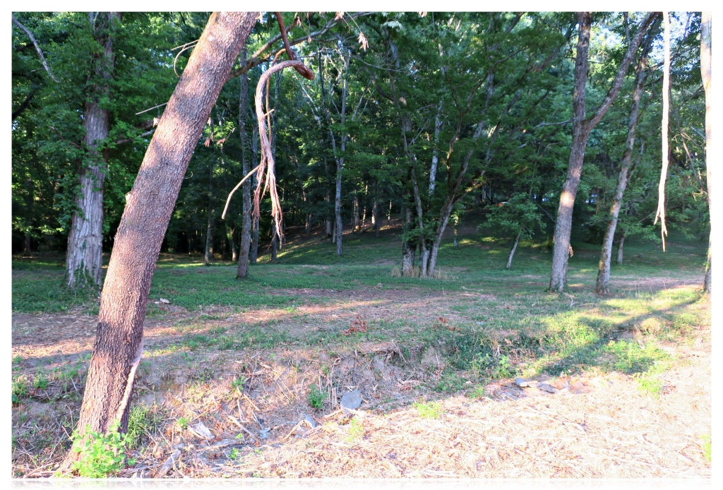 8238 Highway 70 S, Nashville Property Listing MLS® 2270597