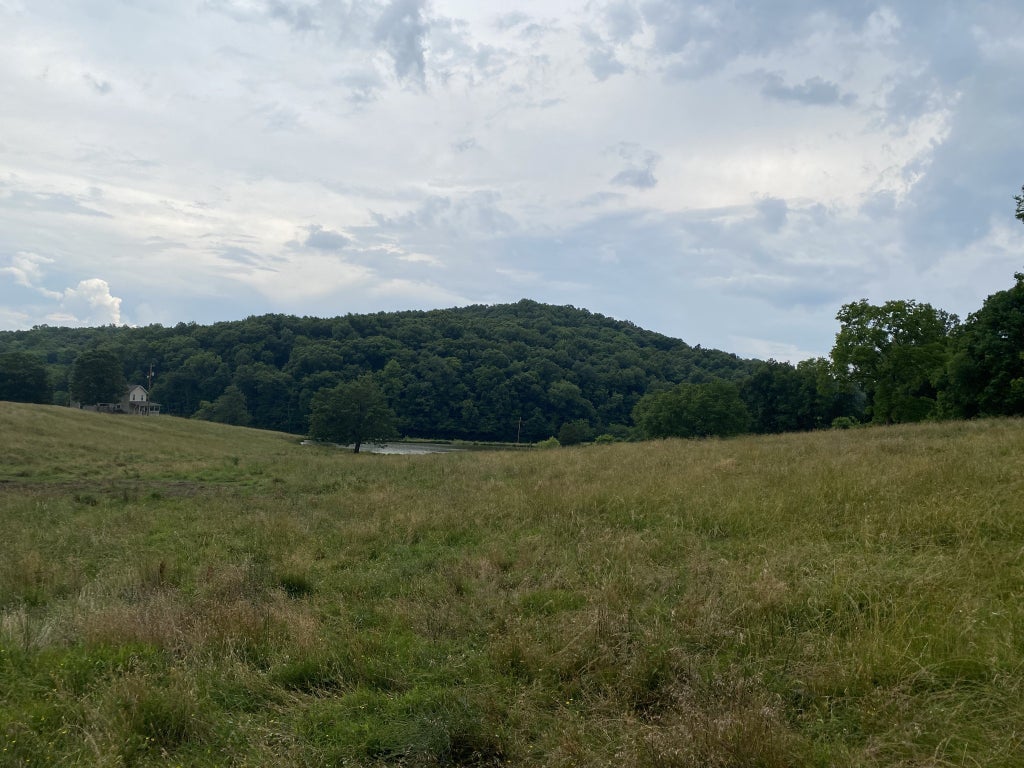 1 Collier Lane Gallatin TN MLS 2508678