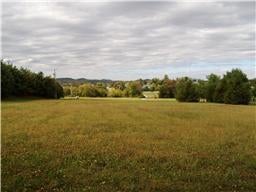 Land Real Estate for sale in Franklin, TN