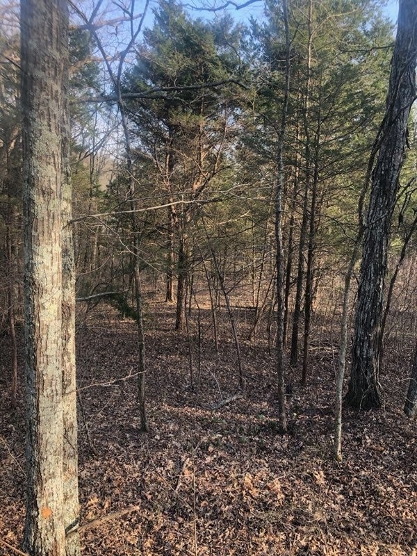 Home for sale in 501c Hickory Ridge Rd Gallatin, TN