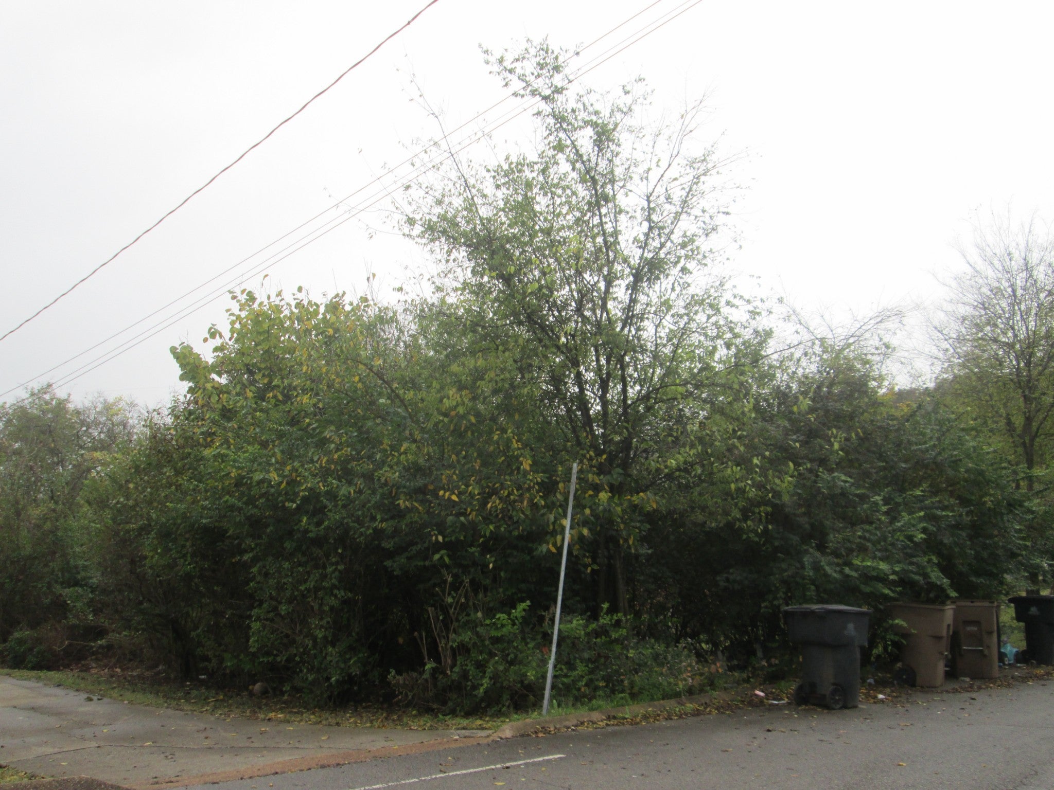 Nashville Real Estate - Land for sale