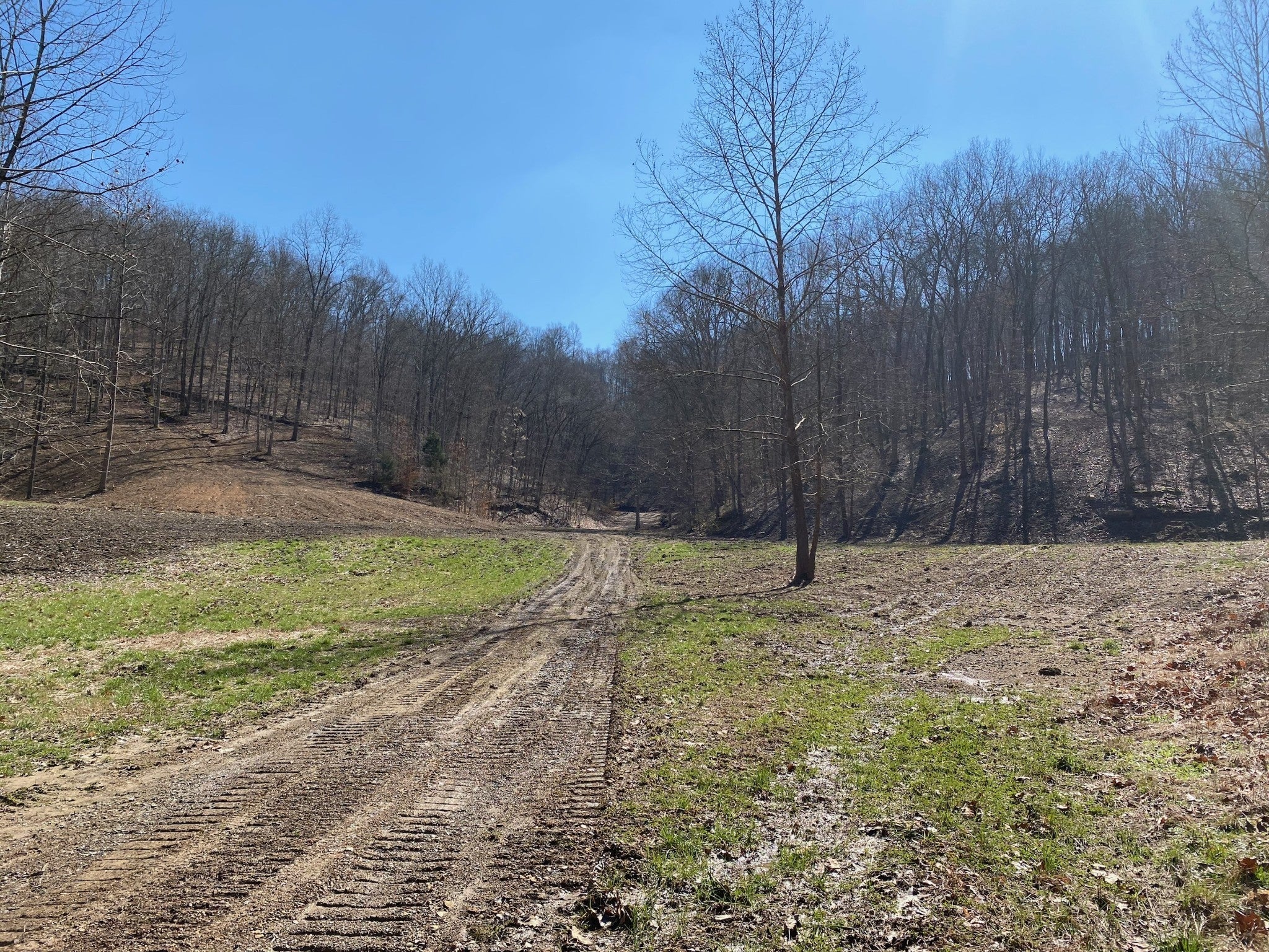 Nashville Real Estate - Land for sale