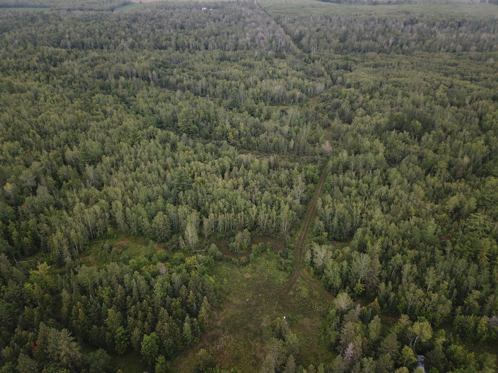 000 Van Ornum Road, Marengo, WI MLS 6253124