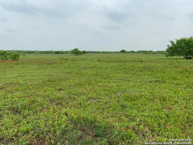 San Antonio Real Estate Listing