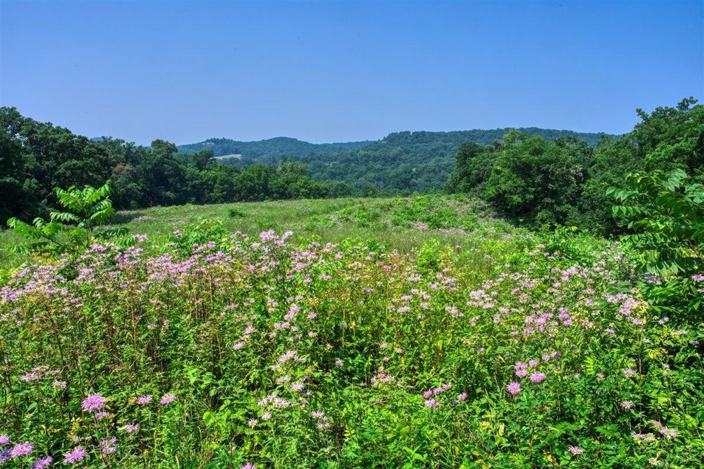 165+/- Acres Miess Road, Dodgeville