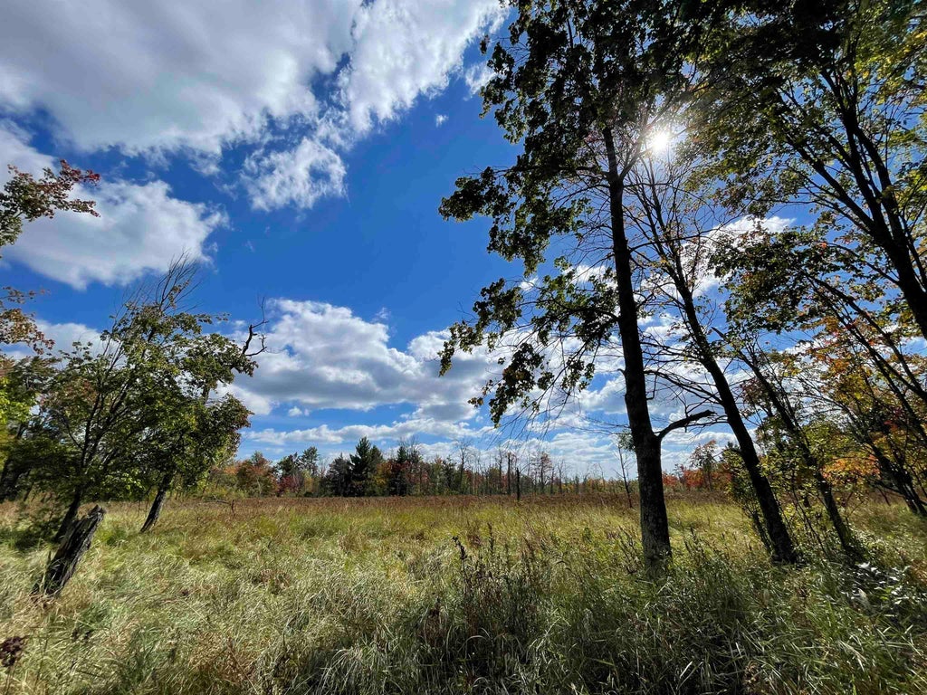 00 Crescent Road, Byron