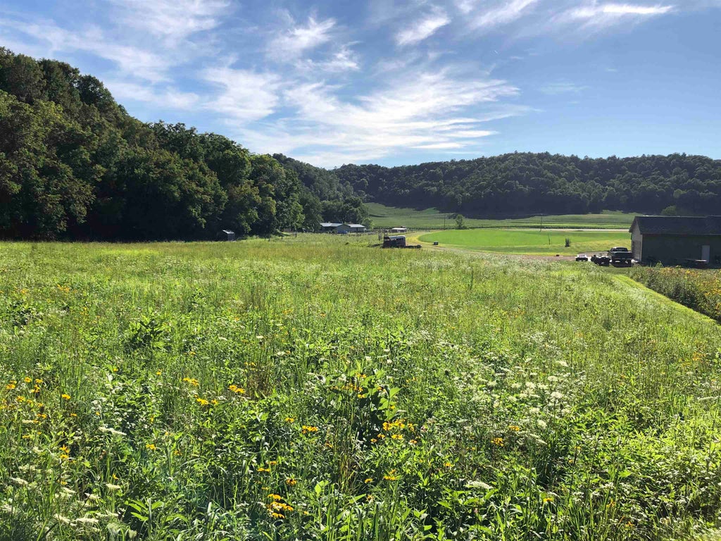 2.28 Acres Highway 60, Troy