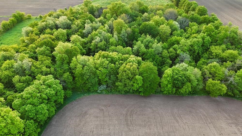 000 Big Horn Avenue, Poysippi