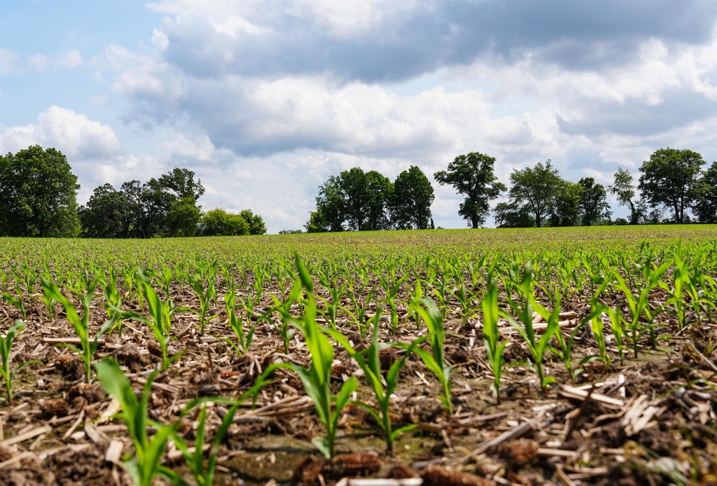 W11851 Highway 16/60, Elba