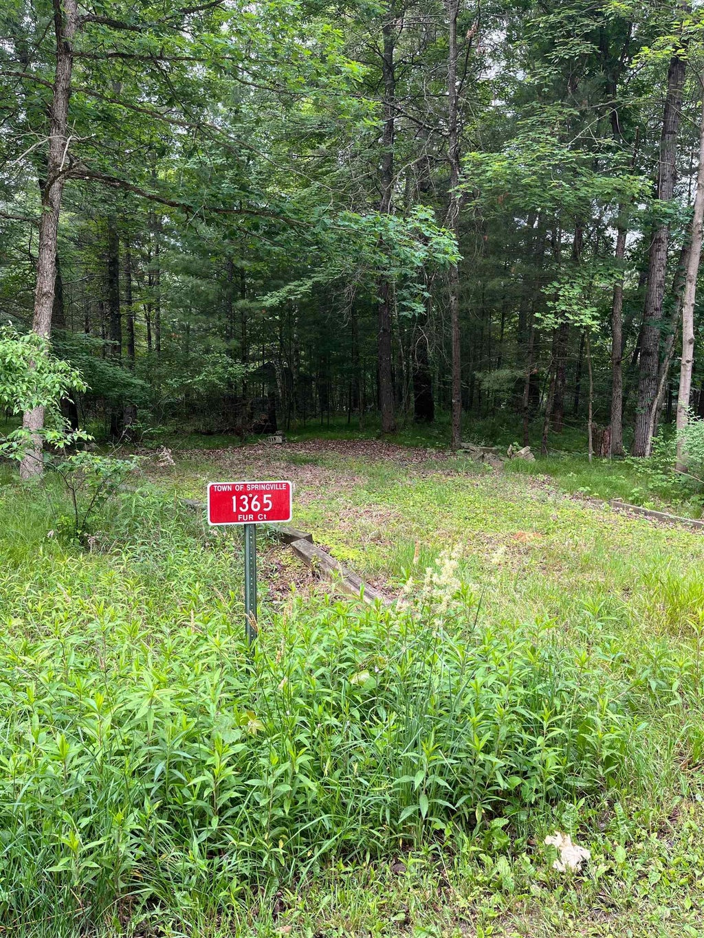 1365 Fur Court, Springville