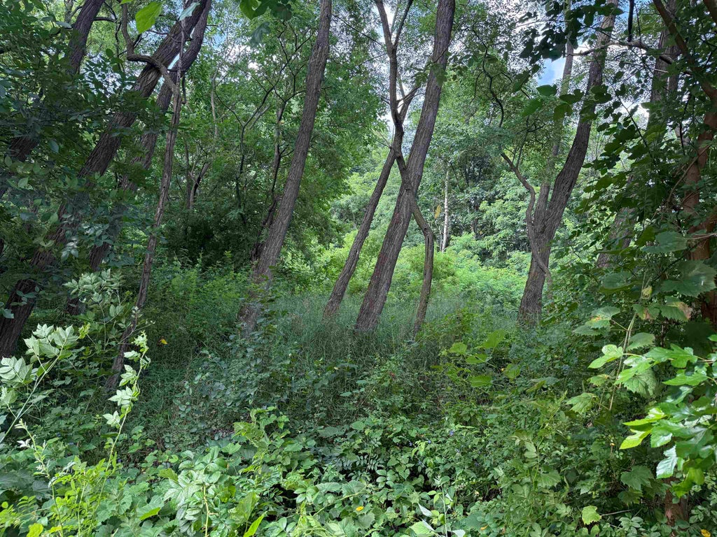 L1095 Hunt Club Addn, La Valle