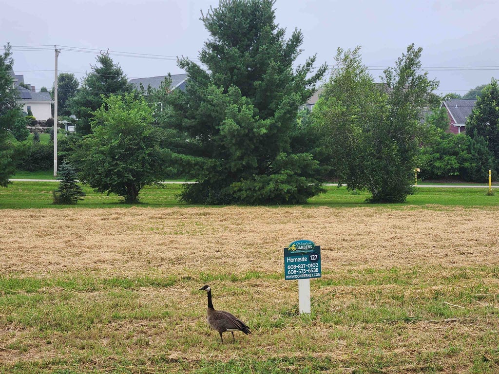 L127 Lucas Lane, Windsor