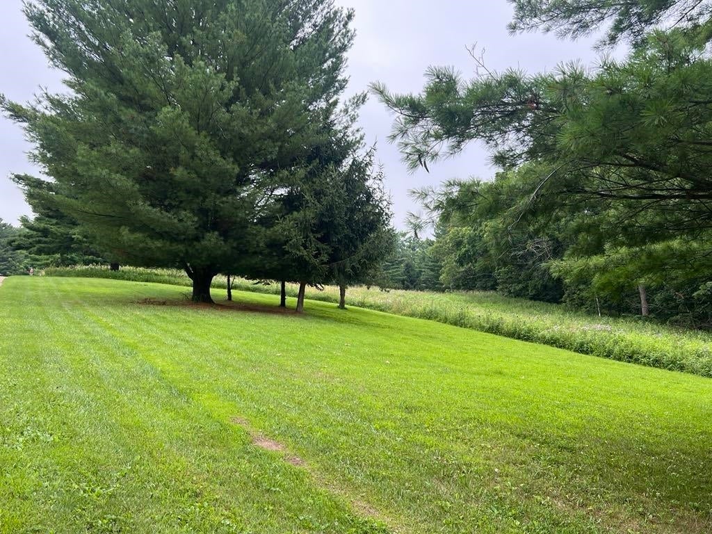 3.23 Acres Lot 76 & 77 Hawk Point Road, Ferryville