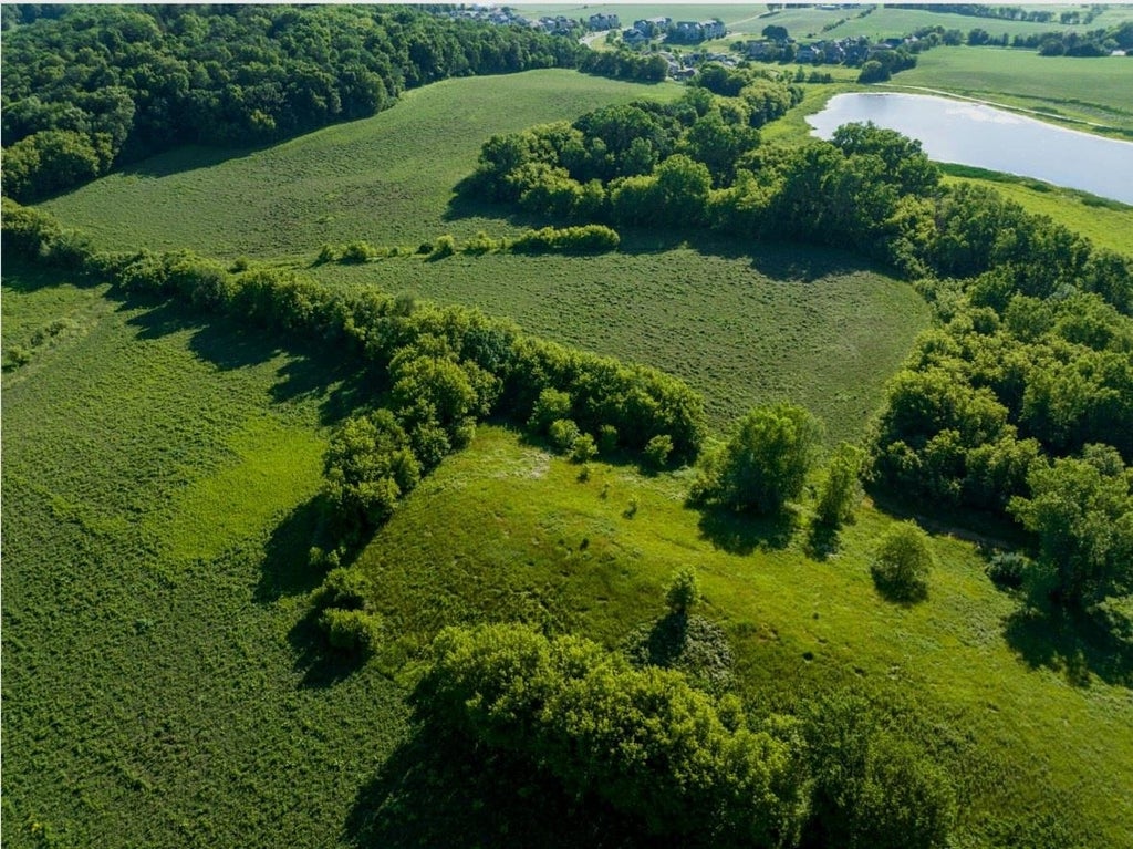 Parmenter Street, Middleton