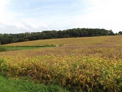 28+/- Acres Sand Hill Road, Hickory Grove