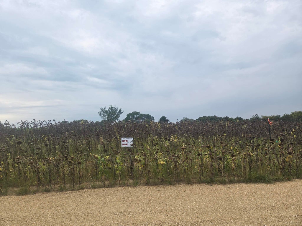 Lot 29 Ridge Point Estates, Mineral Point