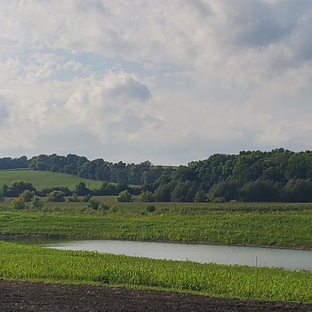 Photo of Listing #1960940