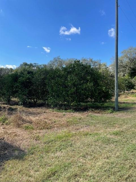 Photo of Listing #G5048903