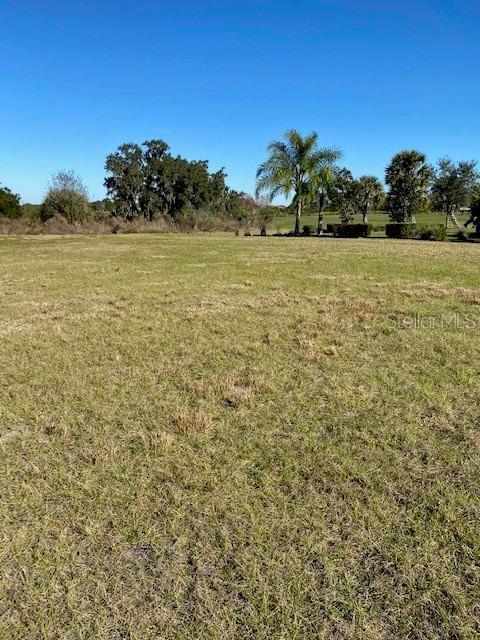 Photo of Listing #A4488897