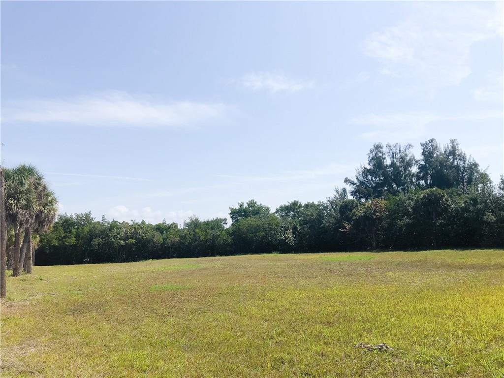 Photo of Listing #A4491884