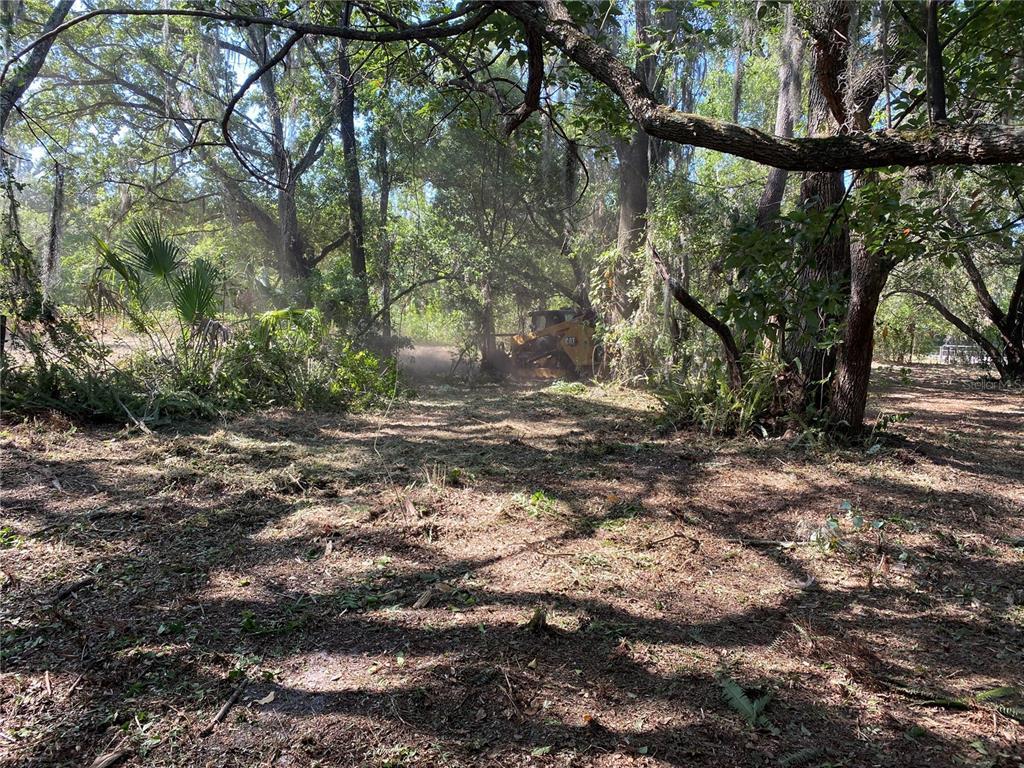 Photo of Listing #T2715467