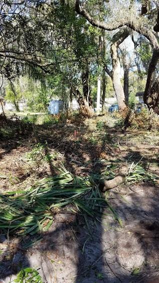 Photo of Listing #T3240280