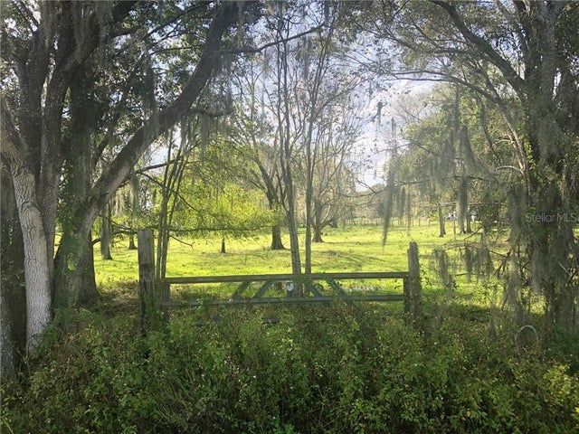 Photo of Listing #T3261449