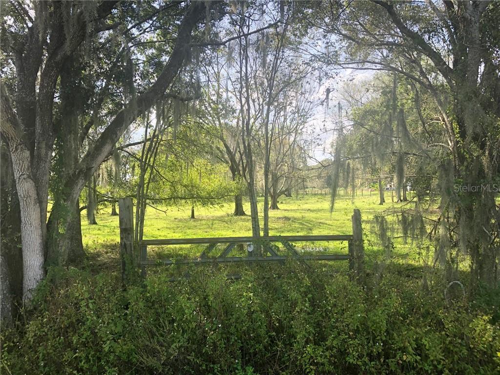 Photo of Listing #T3261449