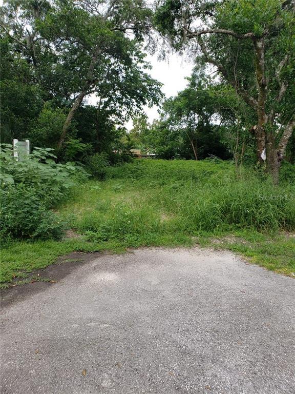 Photo of Listing #T3265992