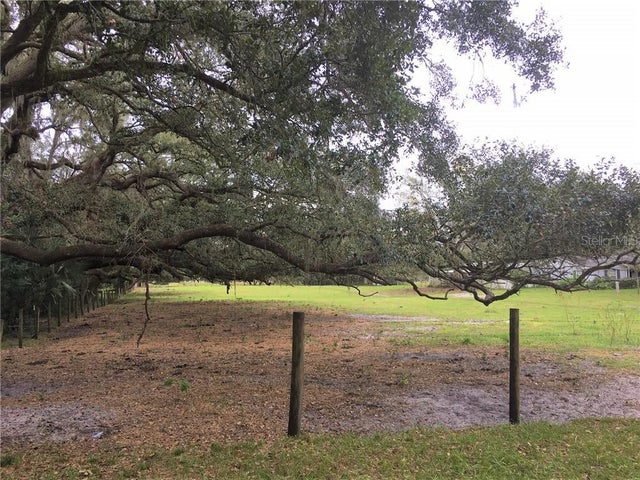 Photo of Listing #T3279363
