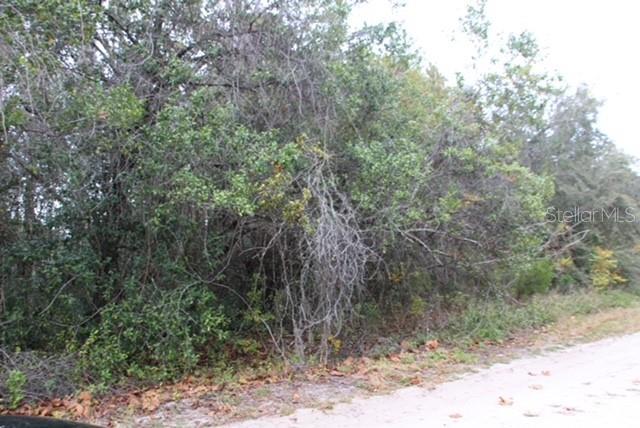 Photo of Listing #T3284011