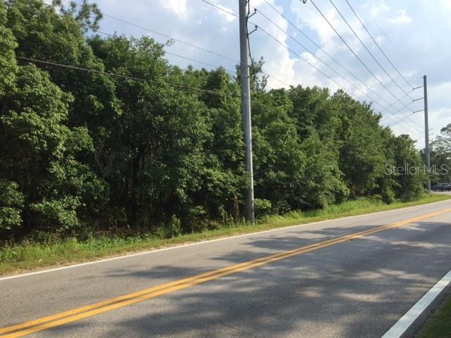 Photo of Listing #T3304738