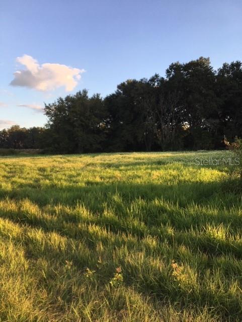 Photo of Listing #U8066718