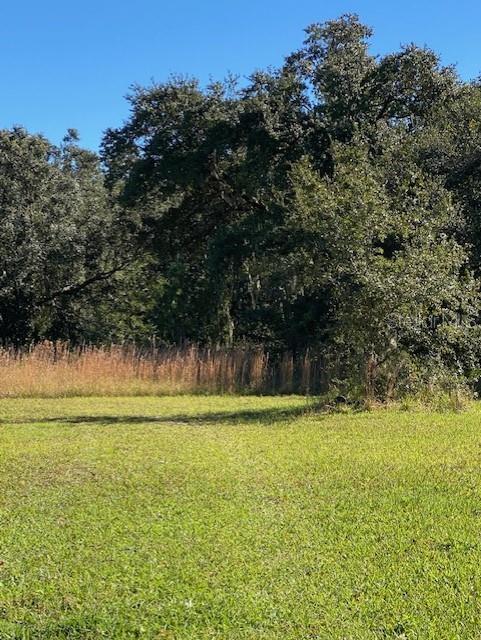 Photo of Listing #U8106235