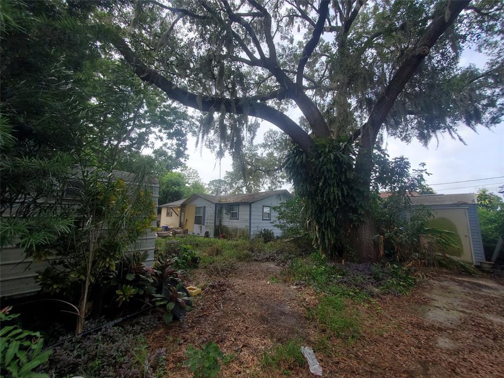 Photo of Listing #A4504840