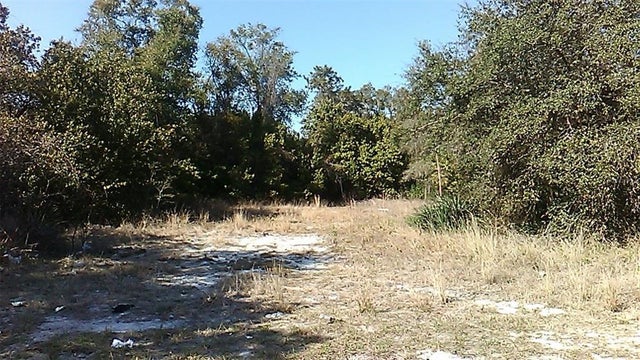 Photo of Listing #O6035725