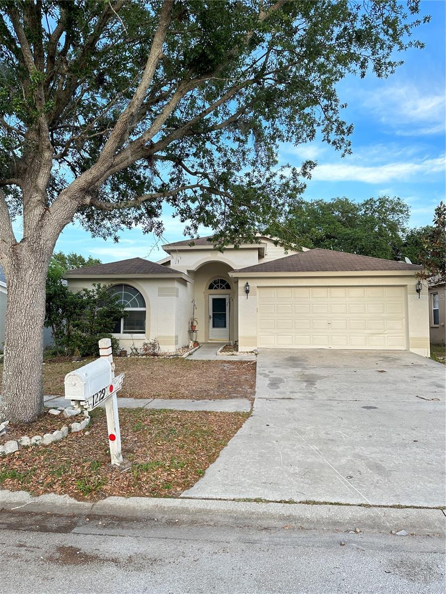 1229 Dragon Head Drive, VALRICO Property Listing MLS® A4564686