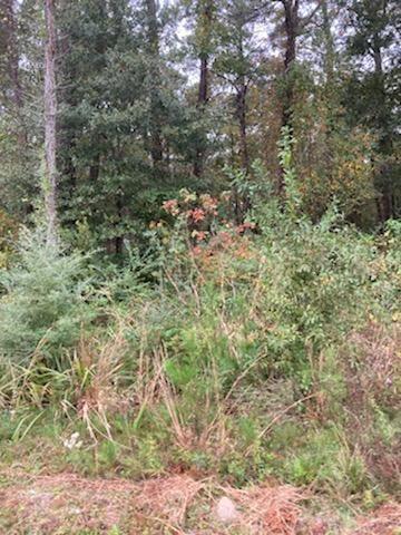 18625 E La 22 Hy, Ponchatoula