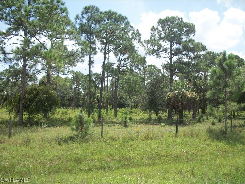 CENTRAL HENDRY COUNTY Real Estate - View SW FL MLS #222052591 at 601 & 401 Al Don Farming Rd in FLORIDA HENDRY LAND TRACTS in CLEWISTON, FL - 33440